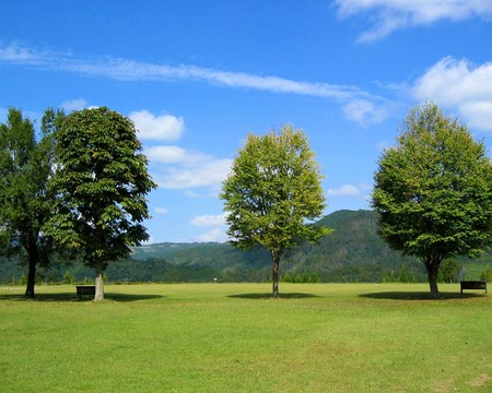 風景画像-092_1