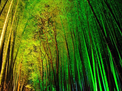 日本の綺麗な画像を貼っていこう-018