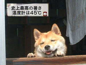 犬貼るお-167