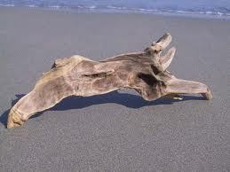 o0259019411350476452