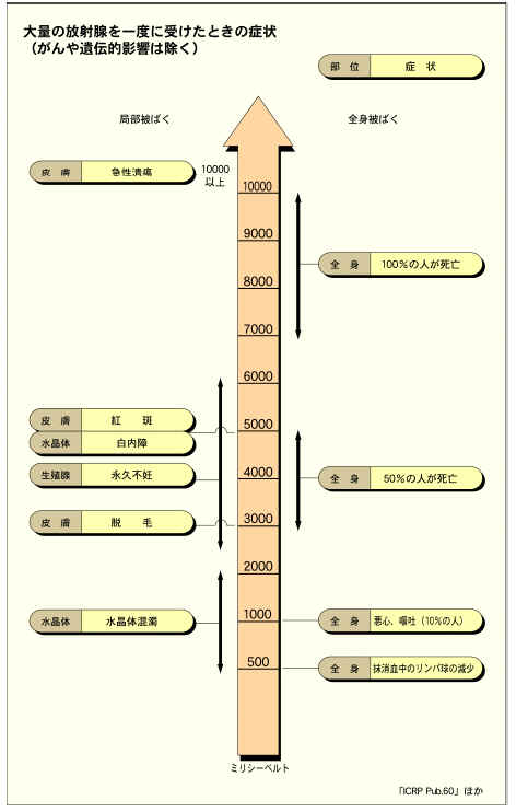 kankyo53