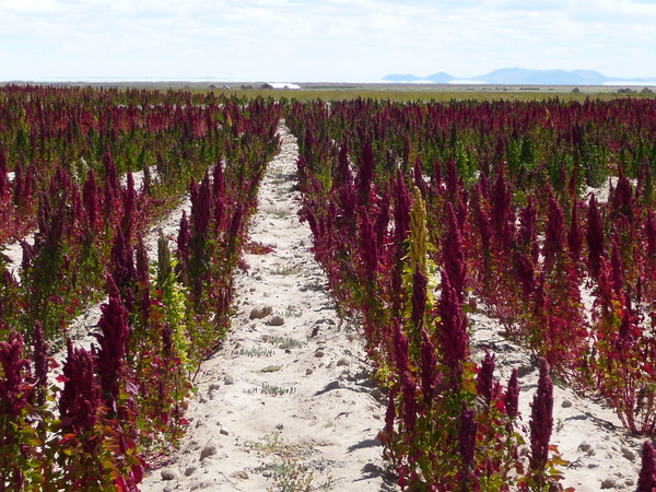 �����-049_01