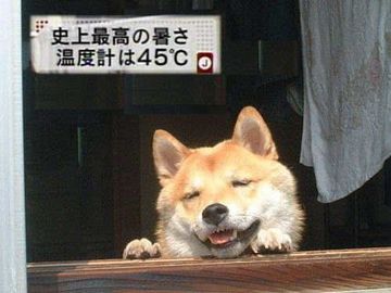 夏を感じる-099