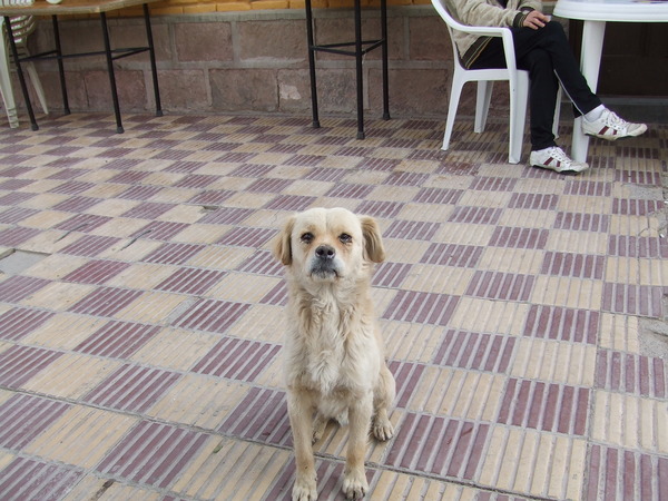 �����-102_02