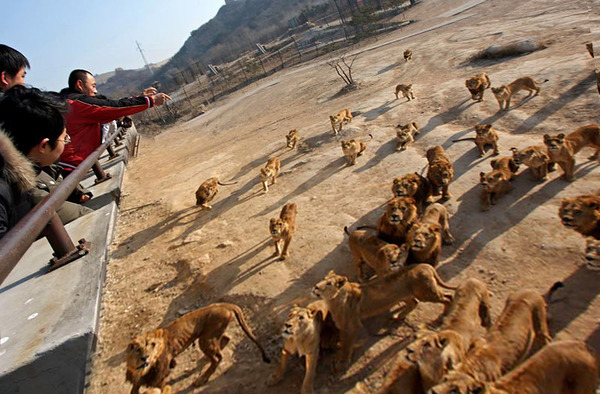 �饤������-075