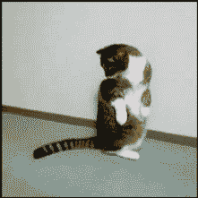 動物の笑える萌え画像-109