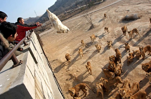 �饤������-001