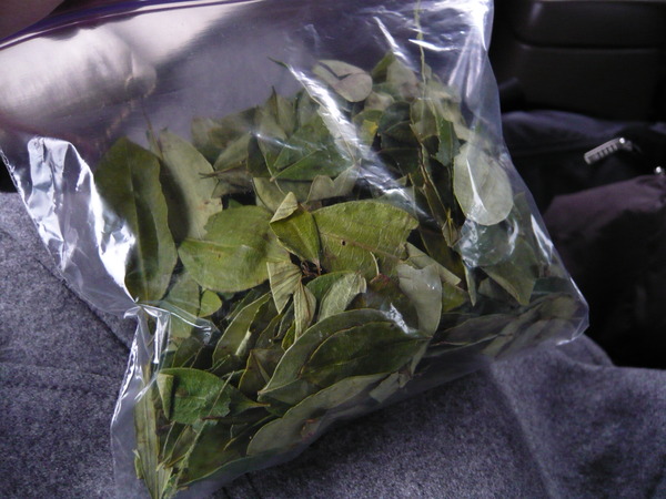 �����-042_01