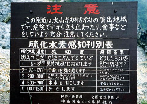 org3162618