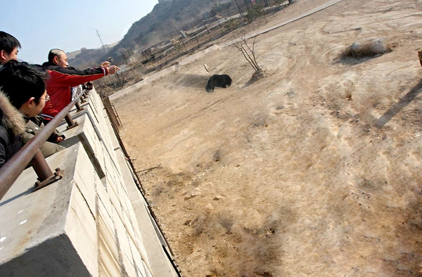 �饤������-108