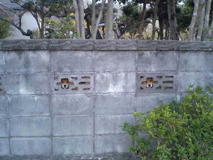 動物の笑える萌え画像-048_1
