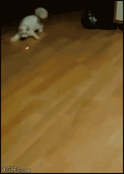 n9P3q