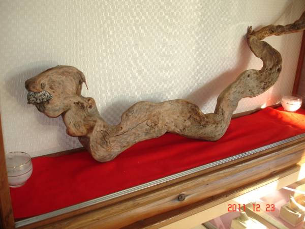 popx70up-img600x450-1328442257akuyan92893