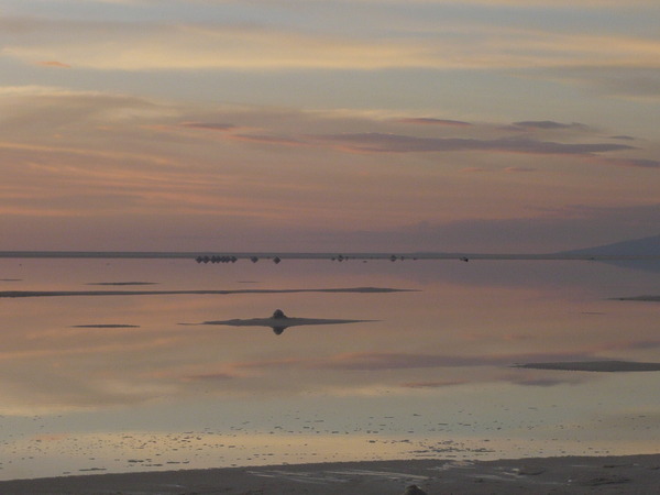 �����-056_01