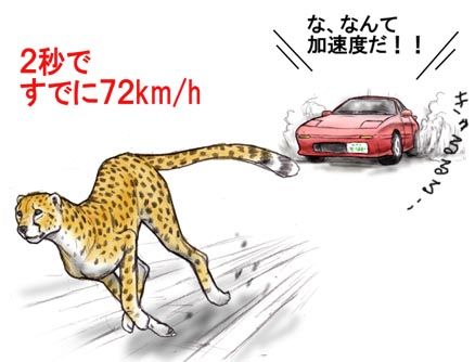 5の画像-130