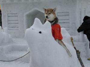 犬貼るお-002_1
