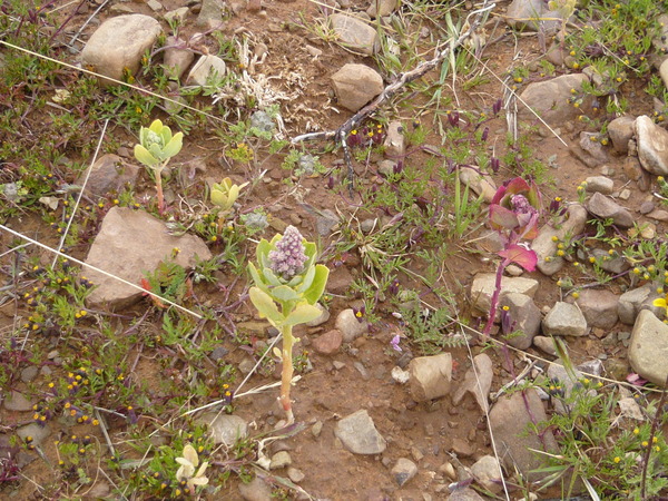 �����-045_03