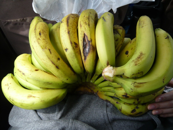 �����-048_02