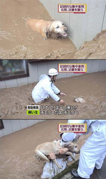 事の重大さを-470