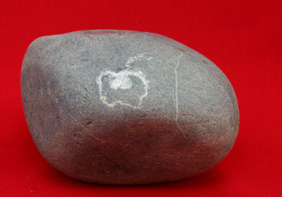 fuji_fho-img400x280-1211021836beblsk18101