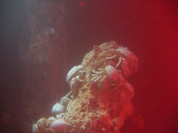 img_1465473_51857242_0