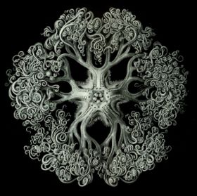 お前らが怖いと思った生物-834_2