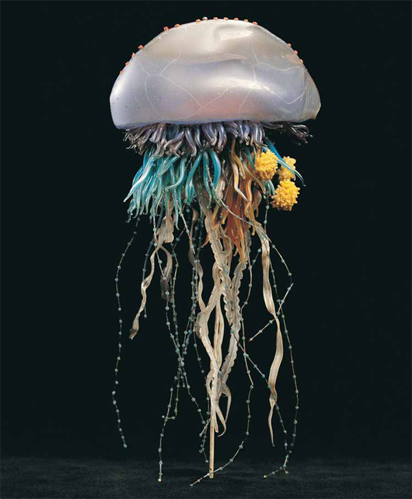 海に住む奇妙な生き物の画像-042_2