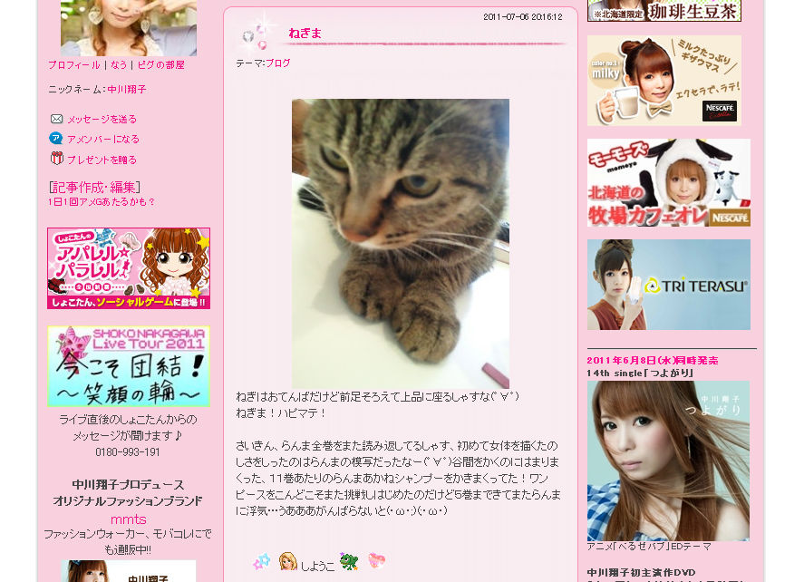 中川翔子 ワンピースはつまらない 頑張らないと読めないレベル ブログ太郎 中川翔子 ワンピースはつまらない 頑張らないと読めないレベル ブログ太郎