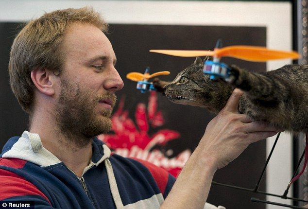 外人が死んだ猫をラジコンヘリにしたものがあまりにマジキチでワロタ ブログ太郎 外人が死んだ猫をラジコンヘリにしたものがあまりにマジキチでワロタ ブログ太郎