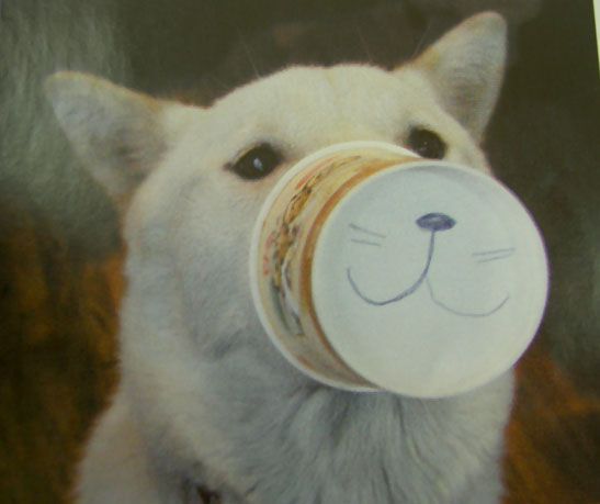 犬貼るお-146_02