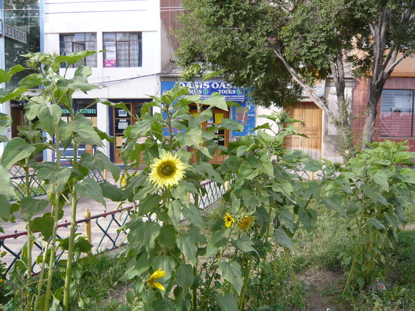 �����-102_03