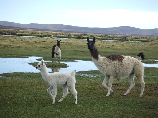 �����-051_02