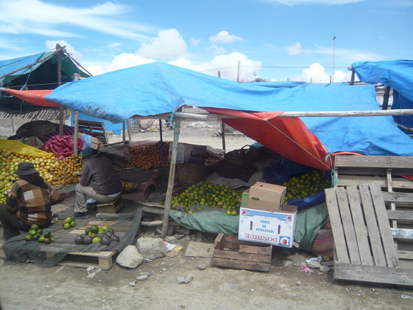 �����-048_01