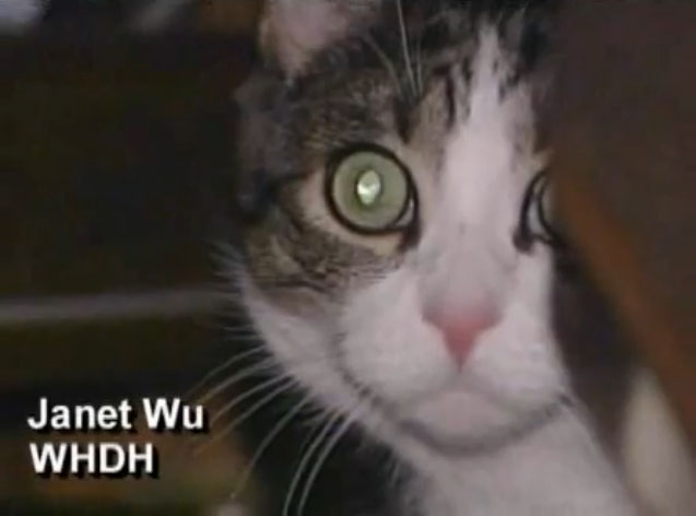 ǭ���濳���Ȥ��ƽ�������-001