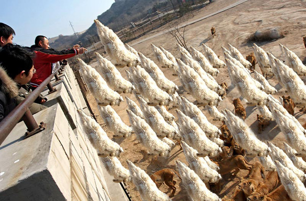 �饤������-061