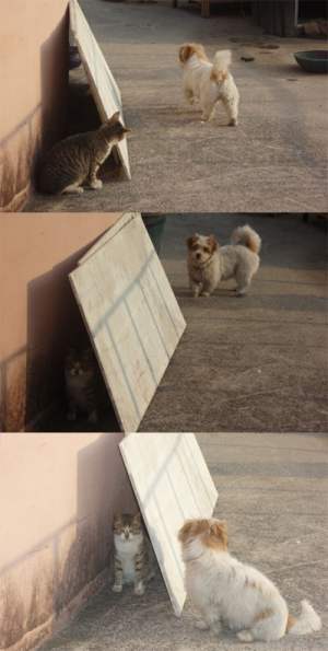 犬貼るお-172