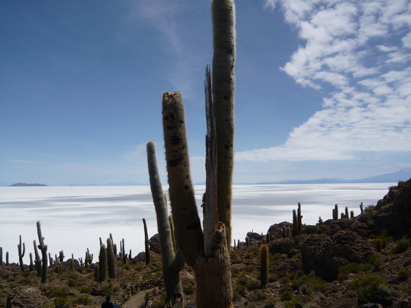 �����-097_04