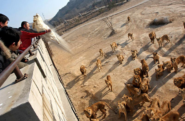 �饤������-082