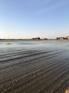 IMG_0402