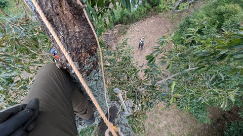 PXL_20250920_021341118