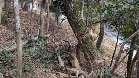 PXL_20250103_015643722