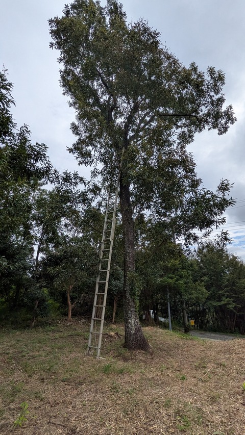 PXL_20250920_011151670