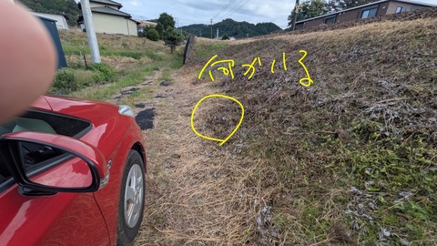 PXL_20251106_035336763~2