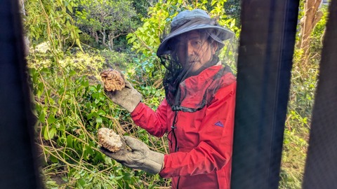 PXL_20250726_223502593