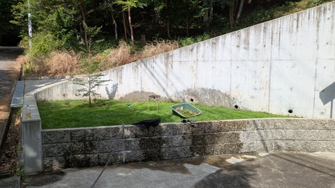 PXL_20250809_000425184