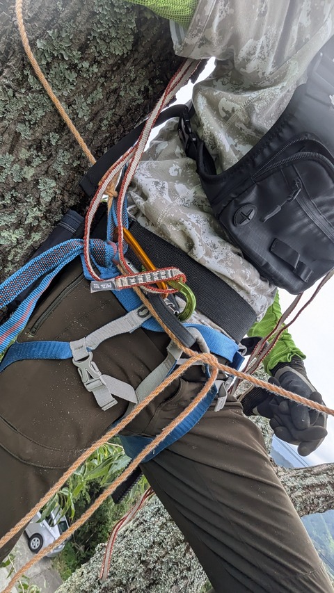 PXL_20250920_021331080