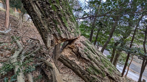 PXL_20250103_020154980