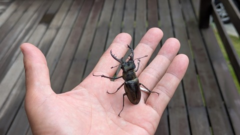 PXL_20250813_223924958