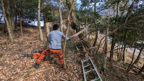 PXL_20250103_020120320