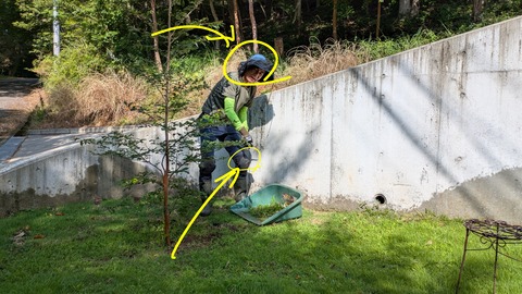 PXL_20250808_232625087~2